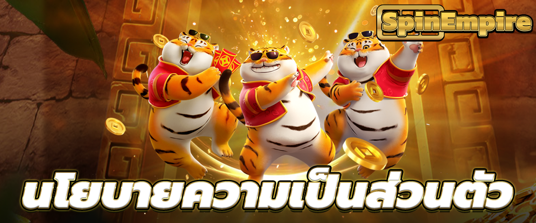 นโยบายความเป็นส่วนตัว